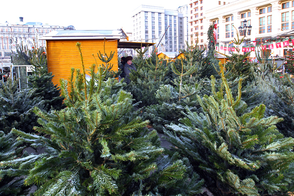 Почти 270 елочных базаров начали работу в Москве