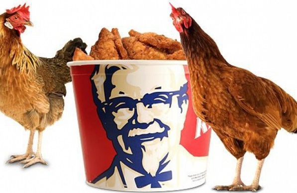 KFC подала в суд на китайские компании из-за слухов о восьминогих курицах