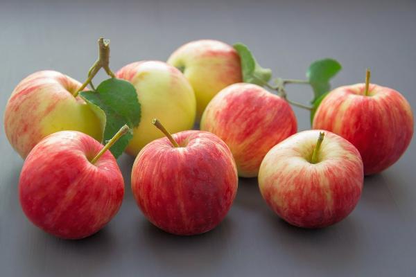 «Фудшеринг» предлагает организовать приём яблок от населения на территории столичных ярмарок