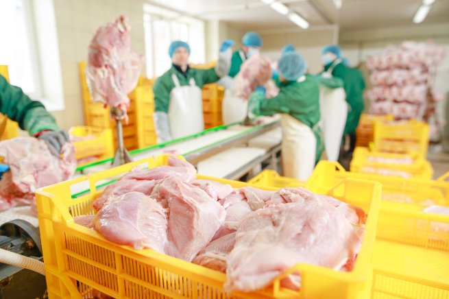 В X5 Group назвали причину дефицита куриного мяса в магазинах «Пятёрочка» и «Перекрёсток»