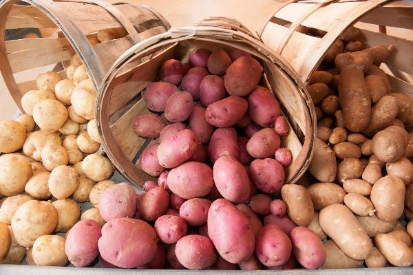 Цена на картофель в России может резко вырасти в ноябре