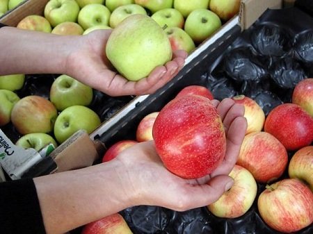  Цены на яблоки повысятся к Новому году