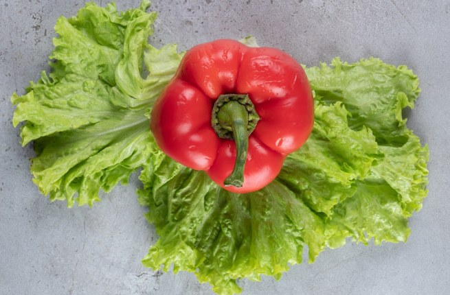 В Подмосковье открылся новый комплекс для хранения овощей и салатов