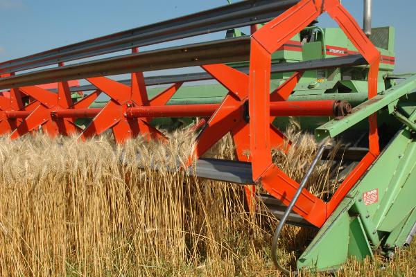 «Русагро» снова возглавил рейтинг крупнейших агрохолдингов России