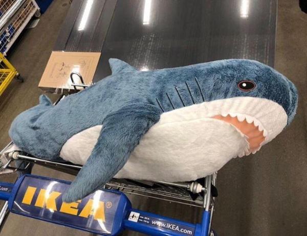 ИКЕА в России стала лидером по продаже игрушечных акул Блохэй