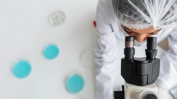 «ВкусВилл» подтвердил безопасность шаурмы по результатам внутренней проверки