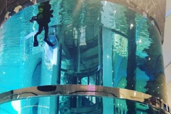 В ТЦ «Океания» в Москве треснул гигантский аквариум