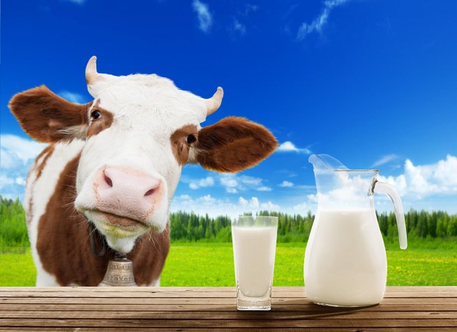 Союзмолоко отрицает риски дефицита молочных продуктов из-за нехватки упаковки Союзмолоко отрицает риски дефицита молочных продуктов из-за нехватки упаковки