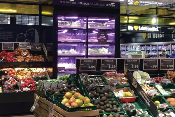 О зелени в торговых сетях