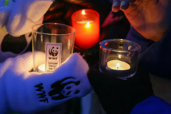 Компания Essity присоединяется к ежегодной акции Всемирного фонда дикой природы «Час Земли»