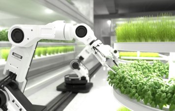 Число вакансий в робототехнике за год увеличилось на 15%