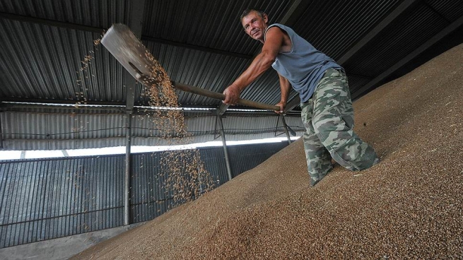 Bunge оптимизирует зерновой бизнес в России