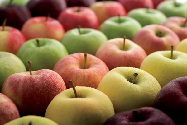 «Магнит» увеличил поставки российских яблок в сеть почти в полтора раза