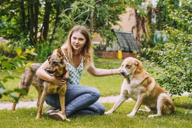 Pedigree запустил реалити-подкасты об адаптации собаки из приюта в семье
