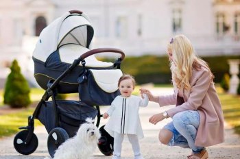 Роскачество назвало лучшие бюджетные коляски