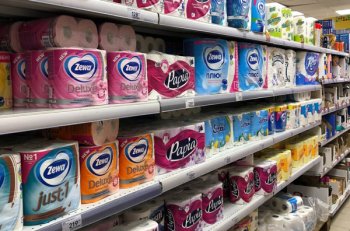 Производитель туалетной бумаги Zewa локализовал производство 70 товаров в России