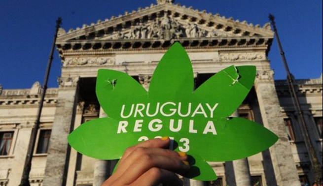 Уругвай отложил старт свободной продажи марихуаны