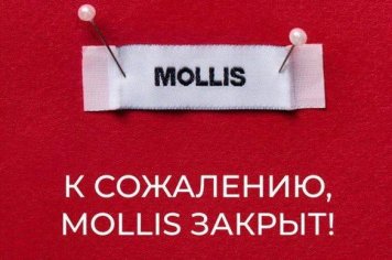 Mollis закрыл магазины и онлайн-платформу