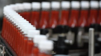 Цены на кетчуп в России вырастут на 10%