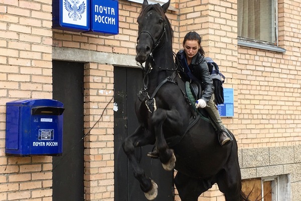Девушка-почтальон, развозящая посылки на коне в Подмосковье, станет лицом Aliexpress