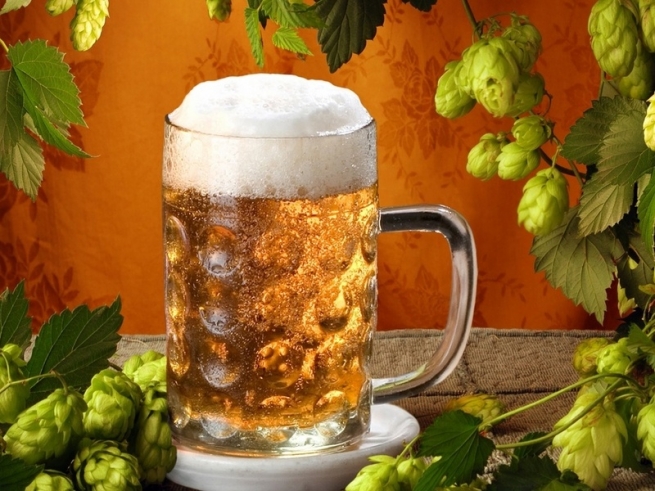   В Краснодарском крае будут производить чешское пиво   
