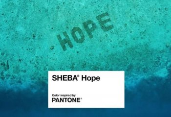Pantone совместно с SHEBA выпустил цвет для привлечения внимания к проблемам экологии мирового океана