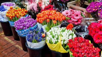 Исследование Тинькофф Кассы: цены на цветы перед 8 Марта вырастут на 23%