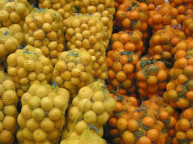 Россельхознадзор отправил назад в Молдавию 230 тонн фруктов