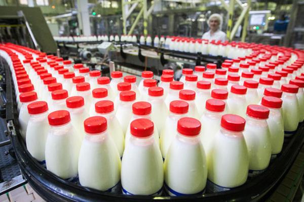 Минпромторг и Минсельхоз нашли способ снизить расходы молочников на маркировку