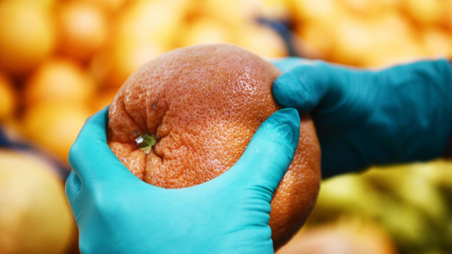 Роспотребнадзор разрешил ввоз перцев, винограда и апельсинов из Турции