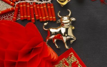 Fix Price выяснил, как россияне относятся к китайскому Новому году