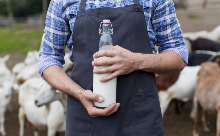 В РФ увеличилось количество фермеров после введения маркировки молочной продукции
