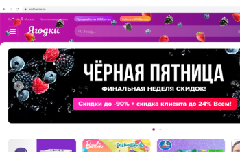 Wildberries сменил название своего сайта на «Ягодки»