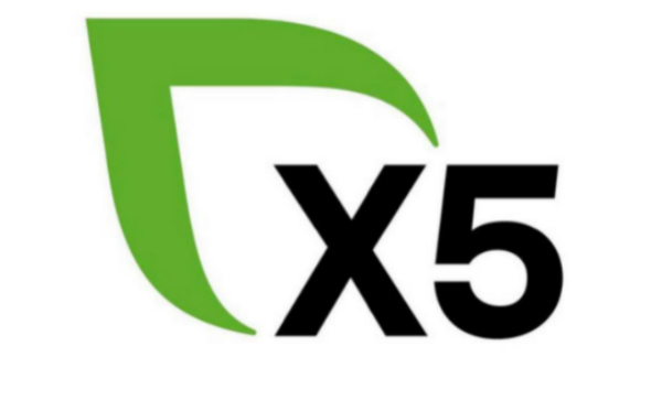 X5: Рост выручки цифрового бизнеса во втором квартале составил 105,7%