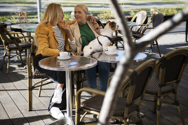 Доля кафе с верандами в центре Москвы достигла 61%