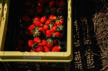 «ВкусВилл»: клубника за год подорожала на 20%