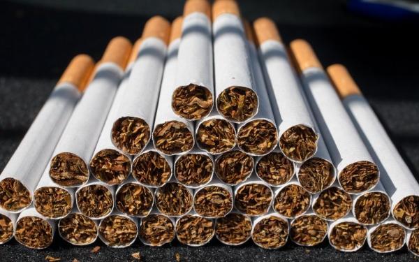 Ущерб от нелегального оборота табака составил более 12 млрд рублей