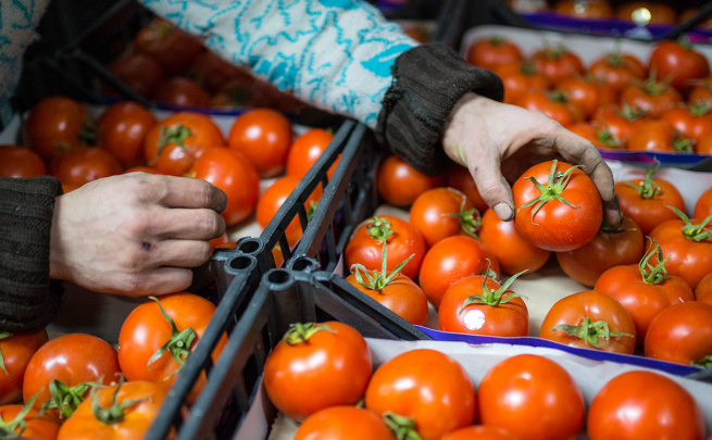 Россия остается крупнейшим импортером овощей и фруктов из Турции