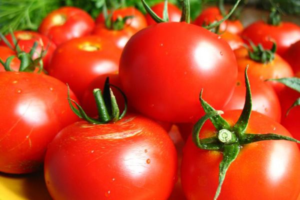 Российские помидоры впервые опустились в цене ниже импортных
