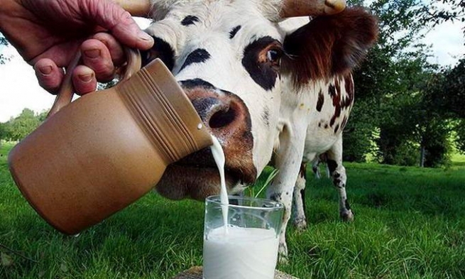 Импорт молочных продуктов в РФ сократился в сентябре на 75,2%