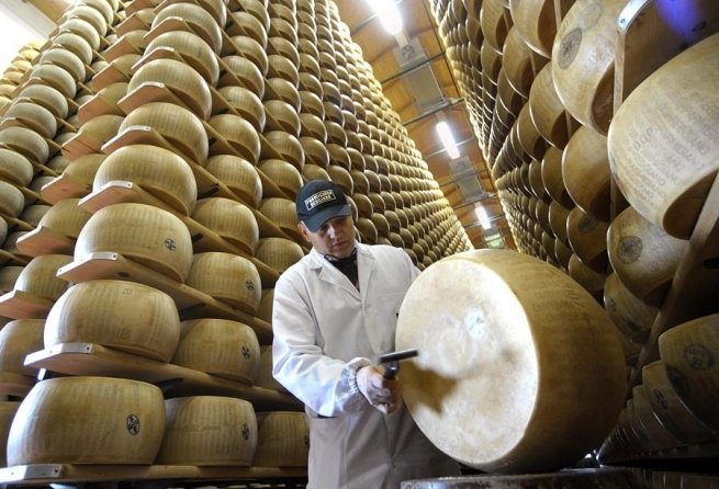 В России хотят уничтожить 80% сыра по примеру санкционных товаров В России хотят уничтожить 80% сыра по примеру санкционных товаров