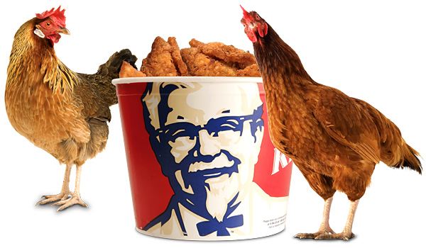 В Нижнем Новгороде появится четвёртый KFC