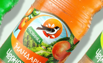 Главу «Черноголовки» отправили в отставку Главу «Черноголовки» отправили в отставку