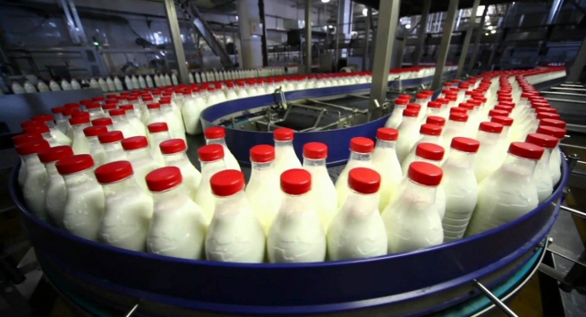 Минсельхоз предложил запретить растительные жиры во всех молочных продуктах