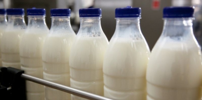 «Союзмолоко» хочет запретить ввоз молока из Украины