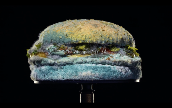 Burger King рекламирует себя заплесневевшим воппером