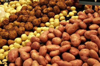 Господдержка производства картофеля и овощей в 2023 году будет удвоена