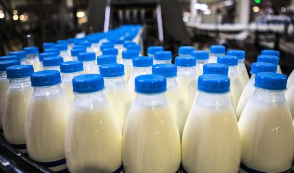 Nielsen: Продажи классической молочной продукции падают