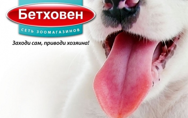 Зоомагазин «Бетховен» открылся в ТРЦ «Азовский» Зоомагазин «Бетховен» открылся в ТРЦ «Азовский»