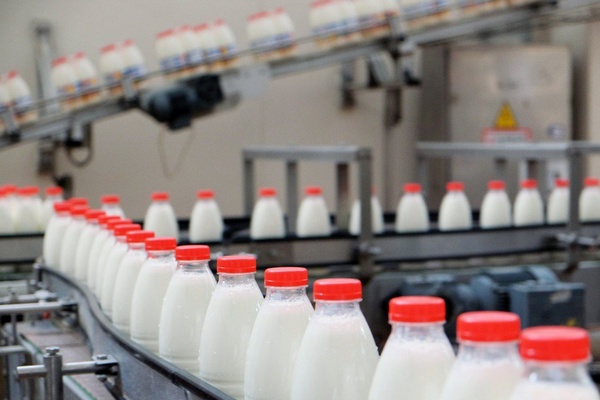 Danone отрицает наличие антибиотиков в молоке «Простоквашино»